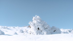 Die Massengräber unter dem Schnee