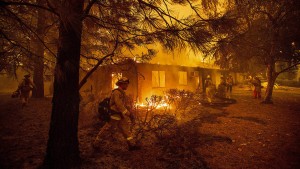 Waldbrände treiben größten amerikanischen Versorger in die Pleite