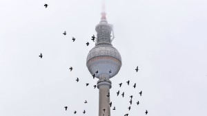 Immer mehr Gründer scheuen die Metropolen