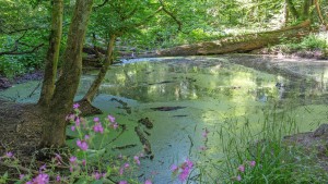 Naherholung zwischen Fluss und Autobahn