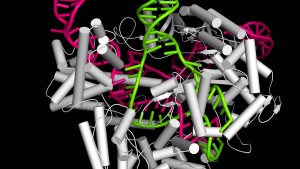 2020, oder ein Jahr im Zeichen der RNA