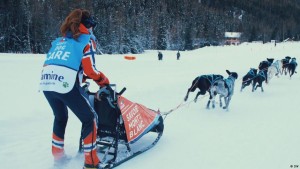 Das Hundeschlittenrennen in den Alpen