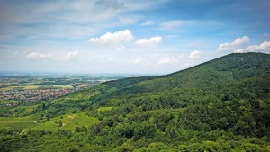 Der hohe Herr der Bergstraße