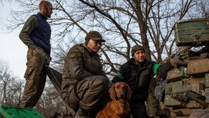 Menschen, Tiere, Panzer und Fiktionen