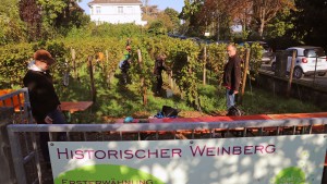 Riesling aus der Opelstadt