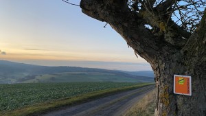 Nebelschleier und Sonnenstrahlen