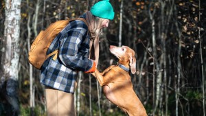 Warum man sich (k)einen Hund anschaffen sollte