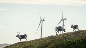 Grünes Vorbild Norwegen