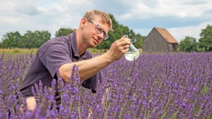 In der Oberlausitz herrscht Dürre