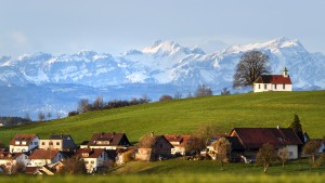 Grüne in Südwest sprechen von „neuer Qualität“