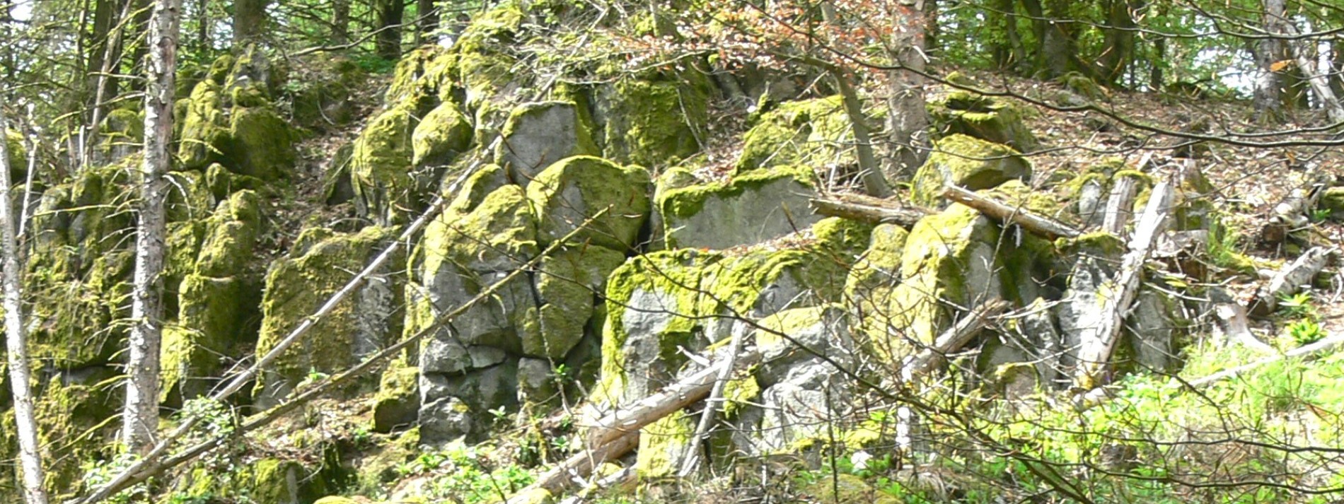 Im Odenwald das Höchste