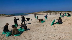 Ölpest vor der Küste Israels