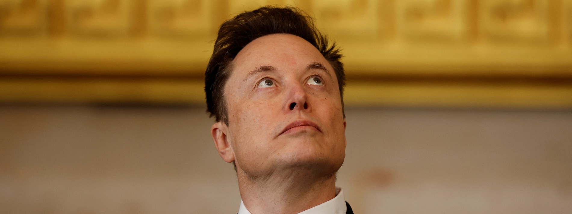 Wovor Musk die Menschheit retten will