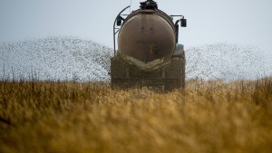 Wie Mist zu Geld werden kann