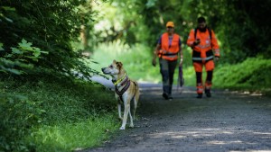 Sieben tote Tiere in Südhessen