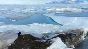 Dänische Forscher entdecken wohl nördlichste Insel der Welt