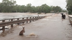 Jahrhundertflut in Australien