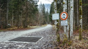 Toter Säugling im Wald gefunden