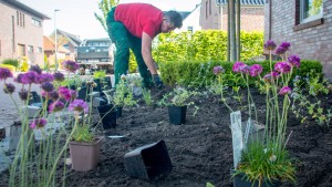 Ein Garten, der sogar Schotterliebhaber besänftigt