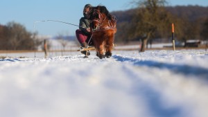 Hoch „Günther“ bestimmt weiter das Wetter in Deutschland