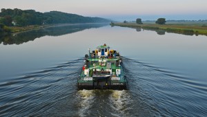 Umweltministerin Lemke pocht auf Stopp von Oder-Ausbau