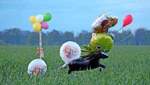 Hunderte Einsatzkräfte und Helfer suchen nach Arian