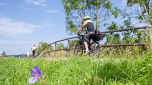 So machen Sie Ihr Fahrrad flott