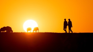 2024 laut Wetterdienst wärmstes Jahr seit Messbeginn