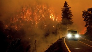 Waldbrand zerstört mehr als 30.000 Hektar