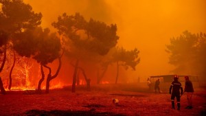 Bis zu 36 Grad in Deutschland – Waldbrände in Südeuropa