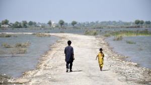 Bundesregierung stellt Rekordsumme für globalen Klimaschutz bereit