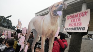 Südkorea verbietet Verzehr von Hundefleisch