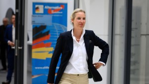 Uni Bayreuth prüft Plagiatsvorwürfe gegen Alice Weidel