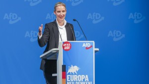 Weidel entschuldigt sich bei Faeser