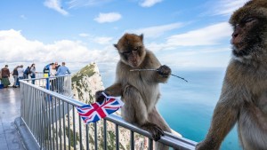 Gibraltar erwägt Beitritt zum Schengen-Raum