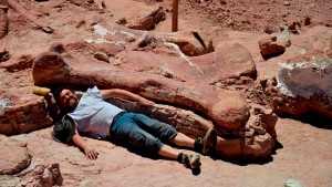 Forscher entdecken größten Dinosaurier aller Zeiten