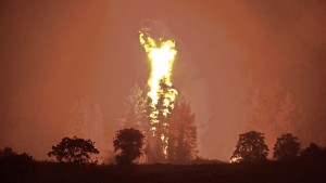 Schon wieder ein Feuersommer