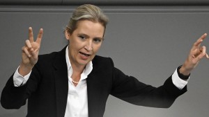 AfD-Chefin Weidel lobt Twitter-Kurs von Musk