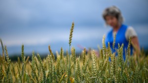 Jemen fürchtet Folgen des Ukrainekriegs