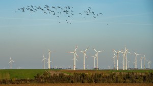 Habeck erwägt Staatsgarantie für Ökostrom-Projekte