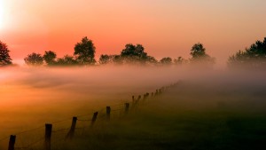 Ein Machtwort für die Umwelt