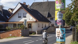 Umfrage sieht Freie Wähler und Grüne in Bayern gleichauf