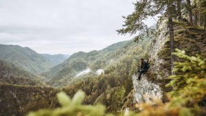 Hier tapst der Luchs, dort röhrt der Hirsch