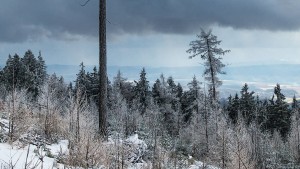 Jenseits von Österreich