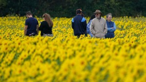 Landesgartenschau Oberhessen wartet auf Geld