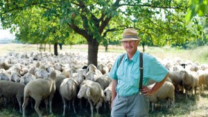 Armer König auf der Weide