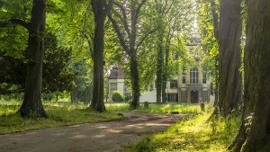 Bedroht der Wohnungsbau ein Kultur-Denkmal?