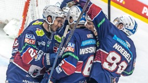 Darum sind die Eisbären Berlin zurück im Finale