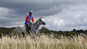 Pferd stirbt beim Distanzreiten 