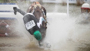 Das nächste Pferd ist tot